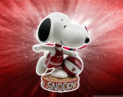 Snoopy Chicago Bulls Banner