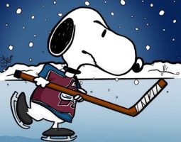 Snoopy Colorado Avalanche Banner