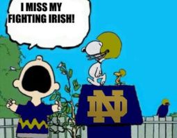 Snoopy Notre Dame Fighting Irish Banner
