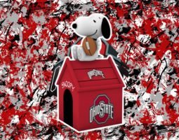 Snoopy Ohio State Buckeyes Banner