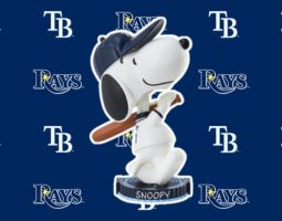 Snoopy Tampa Bay Rays Banner